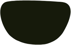 logo bg