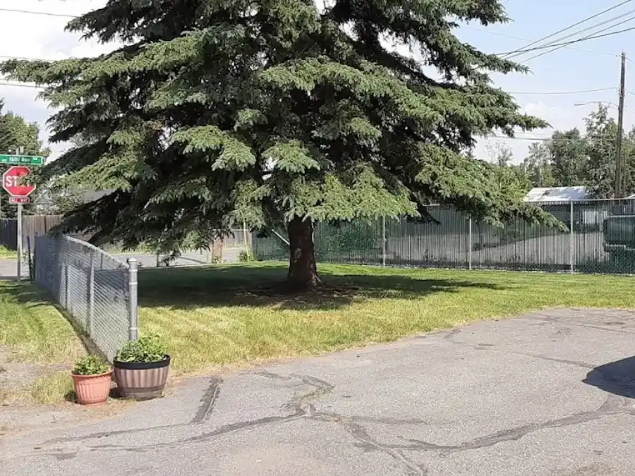 Dependable Tree Service Dependable Tree Service