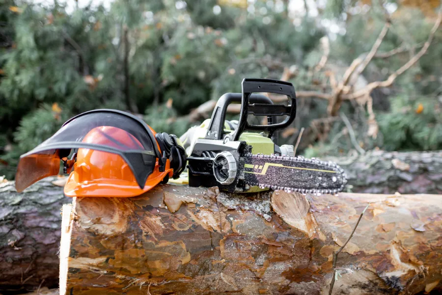 Great Alaska Tree Company's Other Services