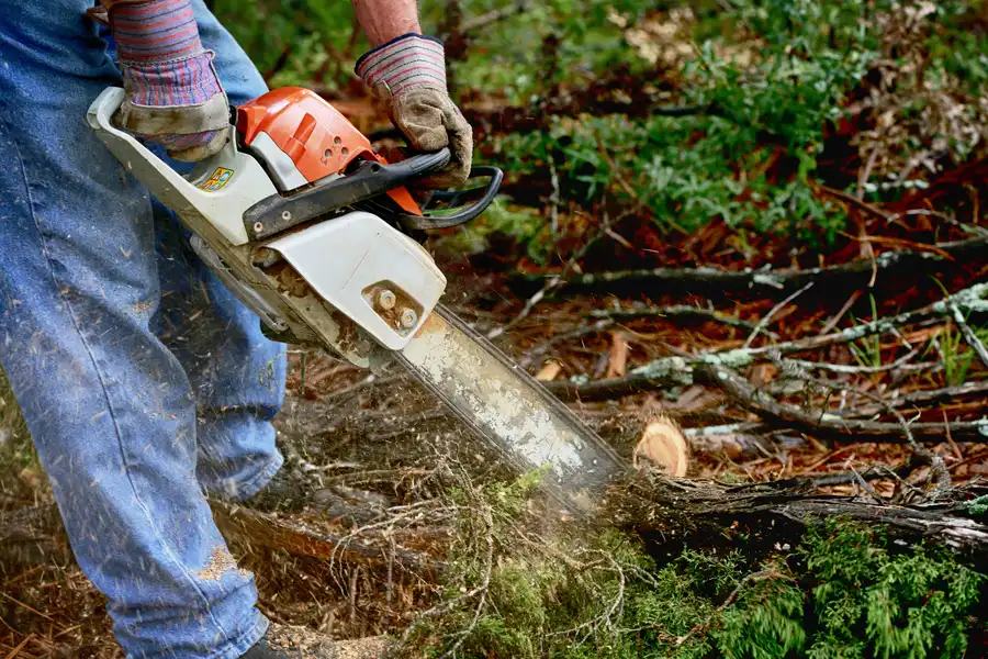 How Emergency Tree Service Prevents Property Damage in Fairbanks, AK How Emergency Tree Service Prevents Property Damage in Fairbanks, AK