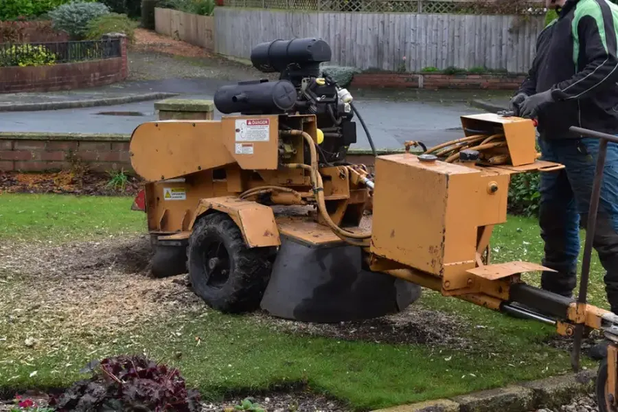 How Stump Grinding Improves Your Landscapes Appearance Fairbanks, AK How Stump Grinding Improves Your Landscapes Appearance Fairbanks, AK