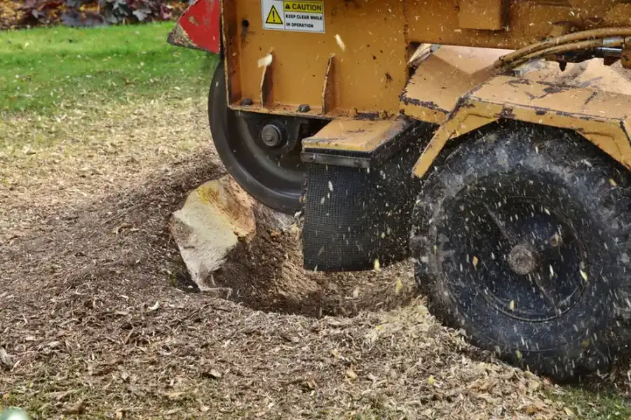 How Stump Grinding Improves Your Landscapes Appearance in Fairbanks, AK How Stump Grinding Improves Your Landscapes Appearance in Fairbanks, AK