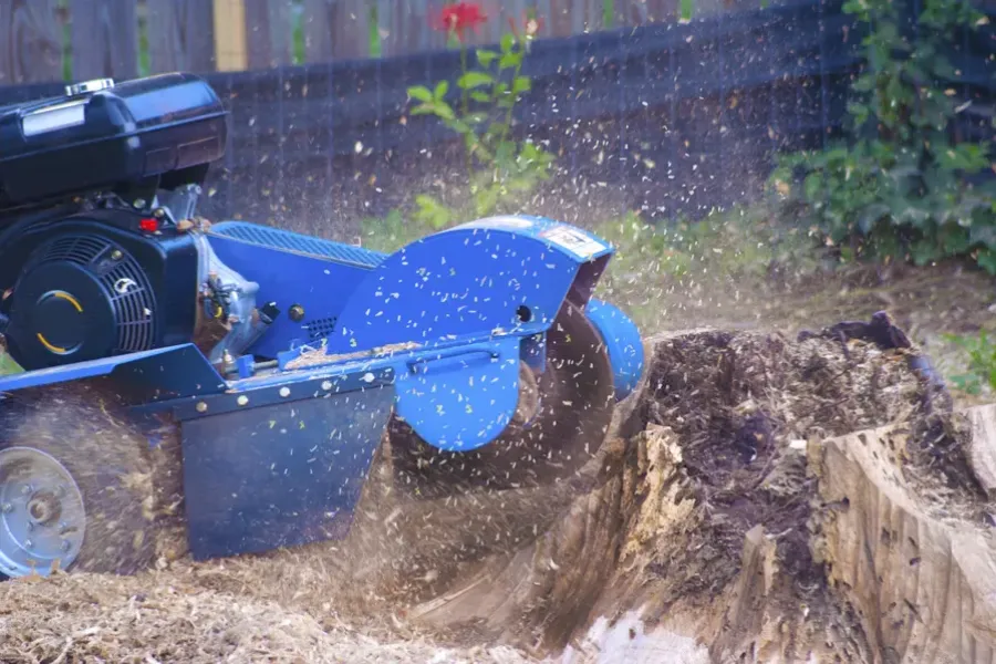 Quality Stump Grinding Fairbanks, AK Quality Stump Grinding Fairbanks, AK