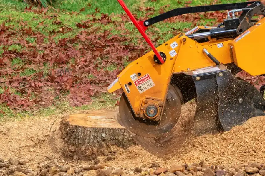 Reliable Stump Grinding Fairbanks, AK Reliable Stump Grinding Fairbanks, AK