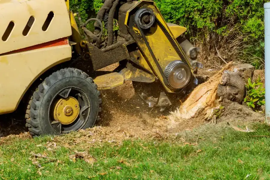 The Safety Benefits Of Professional Stump Grinding Services Fairbanks, AK The Safety Benefits Of Professional Stump Grinding Services Fairbanks, AK