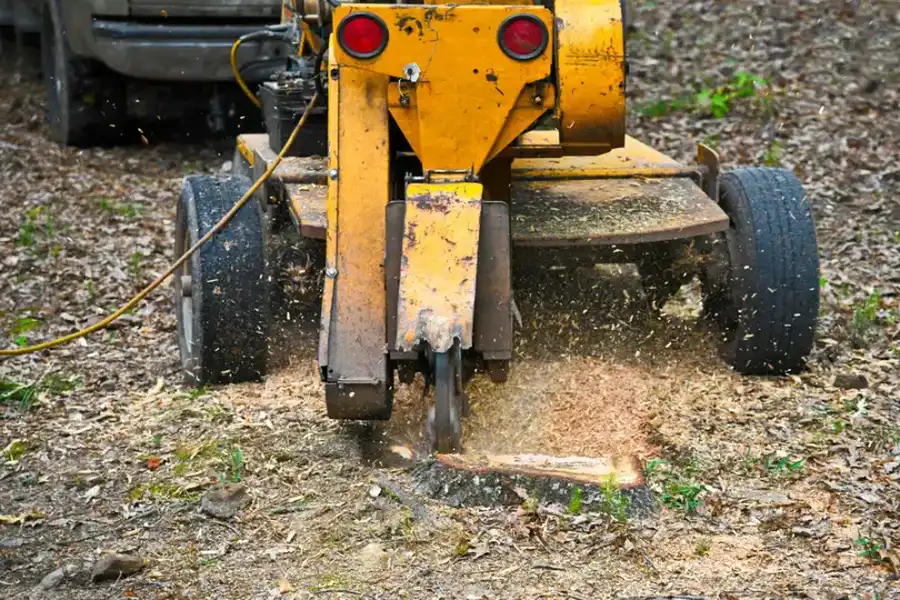 The Safety Benefits Of Professional Stump Grinding Services in Fairbanks, AK The Safety Benefits Of Professional Stump Grinding Services in Fairbanks, AK