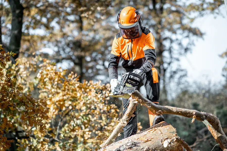 Why Tree Cutting Should Be Left To The Experts Fairbanks, AK Why Tree Cutting Should Be Left To The Experts Fairbanks, AK